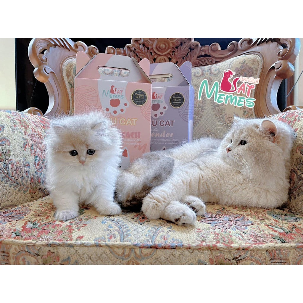 ทรายเต้าหู้แมว Catmemes แคทมีมส์ ทรายมีมส์แมวเต้าหู้พรีเมี่ยม 12 ลิตร