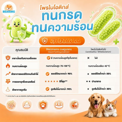 BEARING Happy Tummy Powder ผงโรยอาหารสุนัขแมว ตัวอ้วนตัวแน่น โพรไบโอติกส์ พรีไบโอติกส์ ดูแลสมดุลทางเดินอาหาร