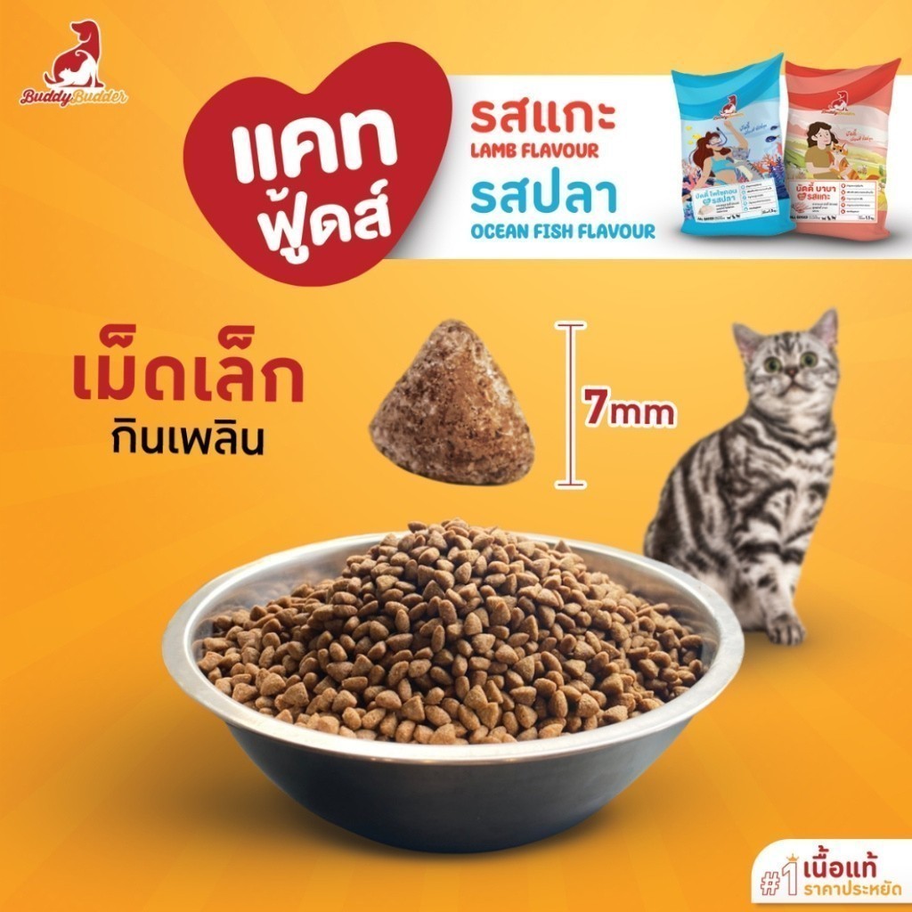 [ยกกระสอบ 12 กก.] Buddy Budder อาหารแมว เกรดพรีเมี่ยม โปรตีนสูง โซเดียมต่ำ ถุงบรรจุจากโรงงาน 1 kg*12 ถุง