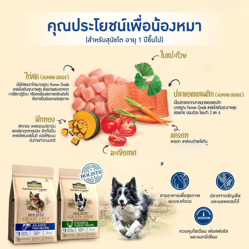[แพ็ค 3 ถุง] Perfecta Holistic Grain Free อาหารเม็ดแมว เกรดโฮลิสติก เกรนฟรี สูตร Chicken & Turkey / Atlantic Fish 1 กก.