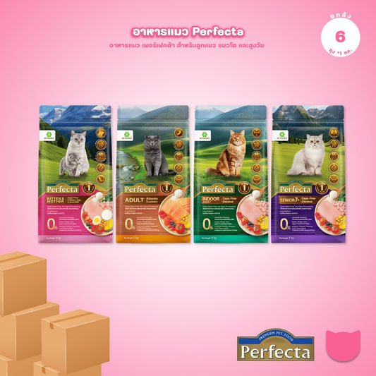 [ยกลัง 6*1kg] Perfecta Wellness อาหารแมว สูตรพรีเมียม Fresh Meat ดูแลผิว ขน และระบบย่อย สำหรับแมวโต ขนาด 1kg
