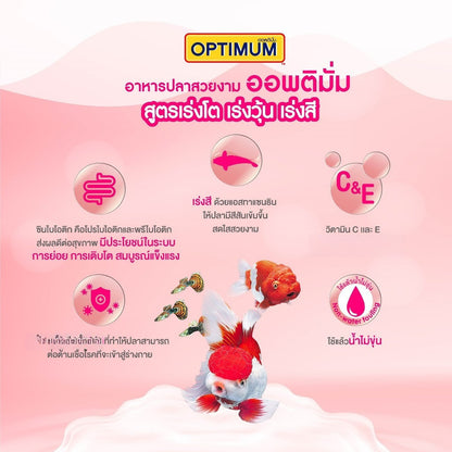 [ยกลัง 24*200g] Optimum อาหารปลาสวยงาม Tropical Fish สูตร Synbiotic เร่งสี น้ำใส สำหรับปลาสวยงามทุกสายพันธุ์ ขนาด 200g