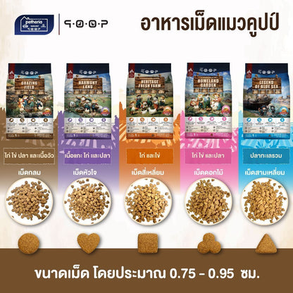อาหารแมวคูปป์ qoop [ยกลัง 10 ถุง*1kg.] อาหารแมวคูปป์ STARTED GLUTEN FREE สำหรับแมวทุกช่วงวัย ขนาด 1 กก.