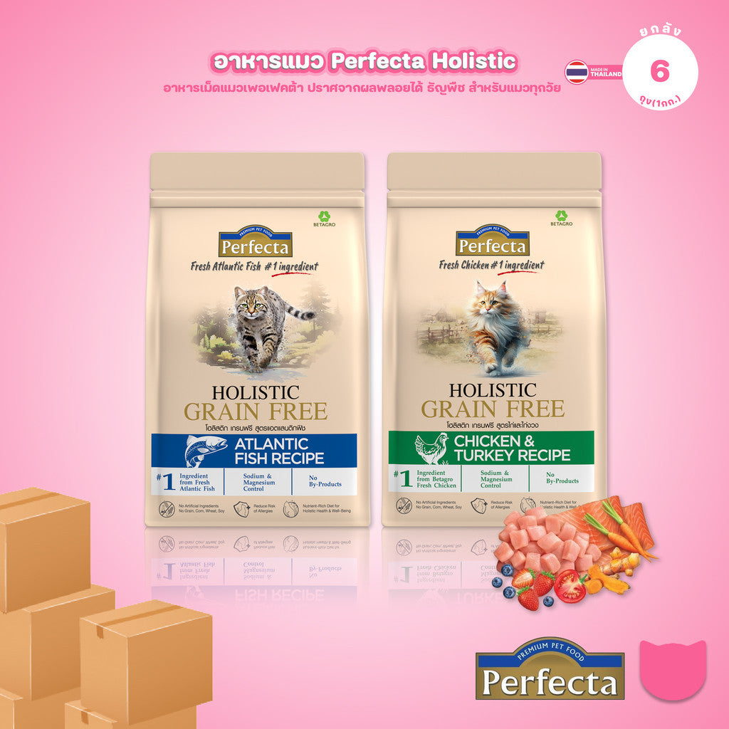 [ยกลัง] Perfecta Holistic Grain Free อาหารเม็ดแมว เกรดโฮลิสติก เกรนฟรี สูตร Chicken & Turkey / Atlantic Fish 0.8-1 กก.