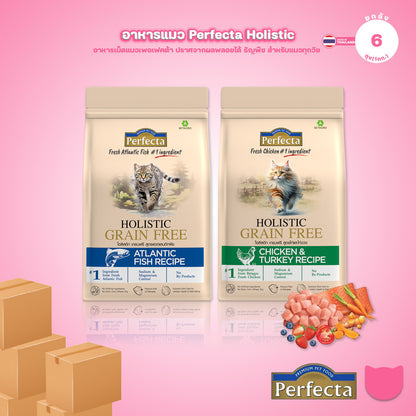 [ยกลัง] Perfecta Holistic Grain Free อาหารเม็ดแมว เกรดโฮลิสติก เกรนฟรี สูตร Chicken & Turkey / Atlantic Fish 0.8-1 กก.