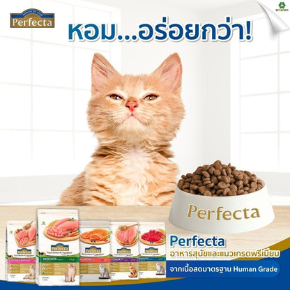 [ยกลัง 4*3kg] Perfecta Wellness อาหารแมว สูตรพรีเมียม Fresh Meat ดูแลผิว ขน และระบบย่อย สำหรับแมวโต ขนาด 3kg