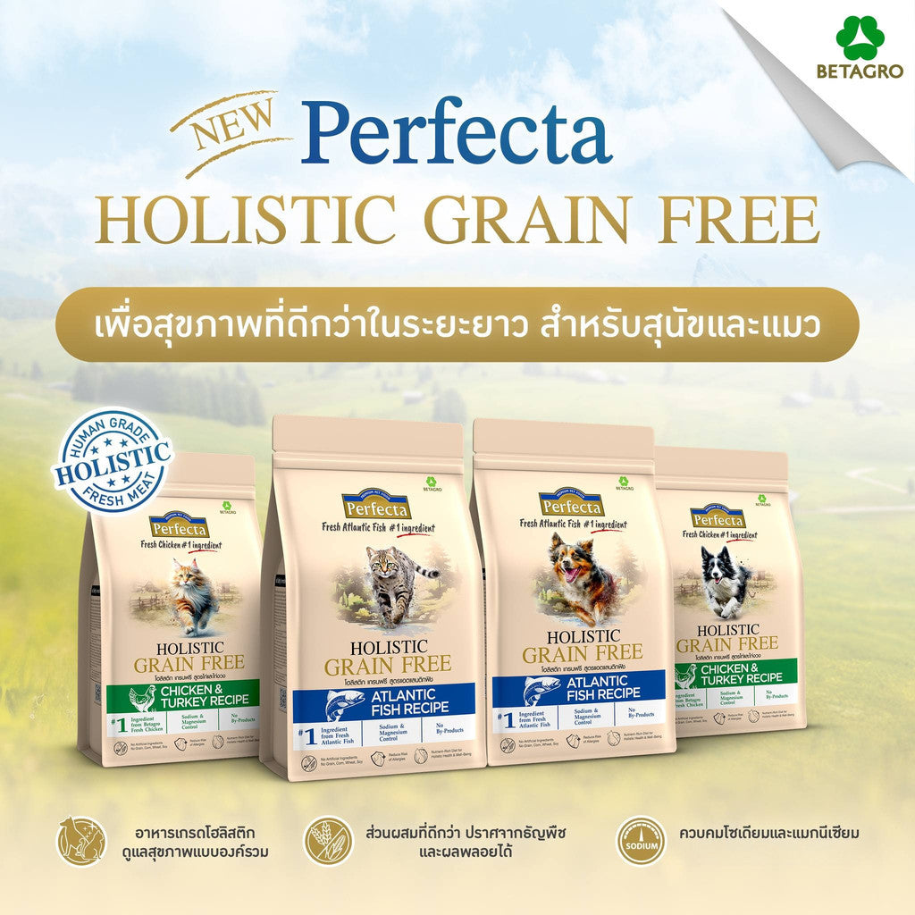 [ถุงแบ่ง 1kg] Perfecta Holistic Grain Free อาหารเม็ดแมว เกรดโฮลิสติก เกรนฟรี สูตร Chicken & Turkey / Atlantic Fish 1 กก.