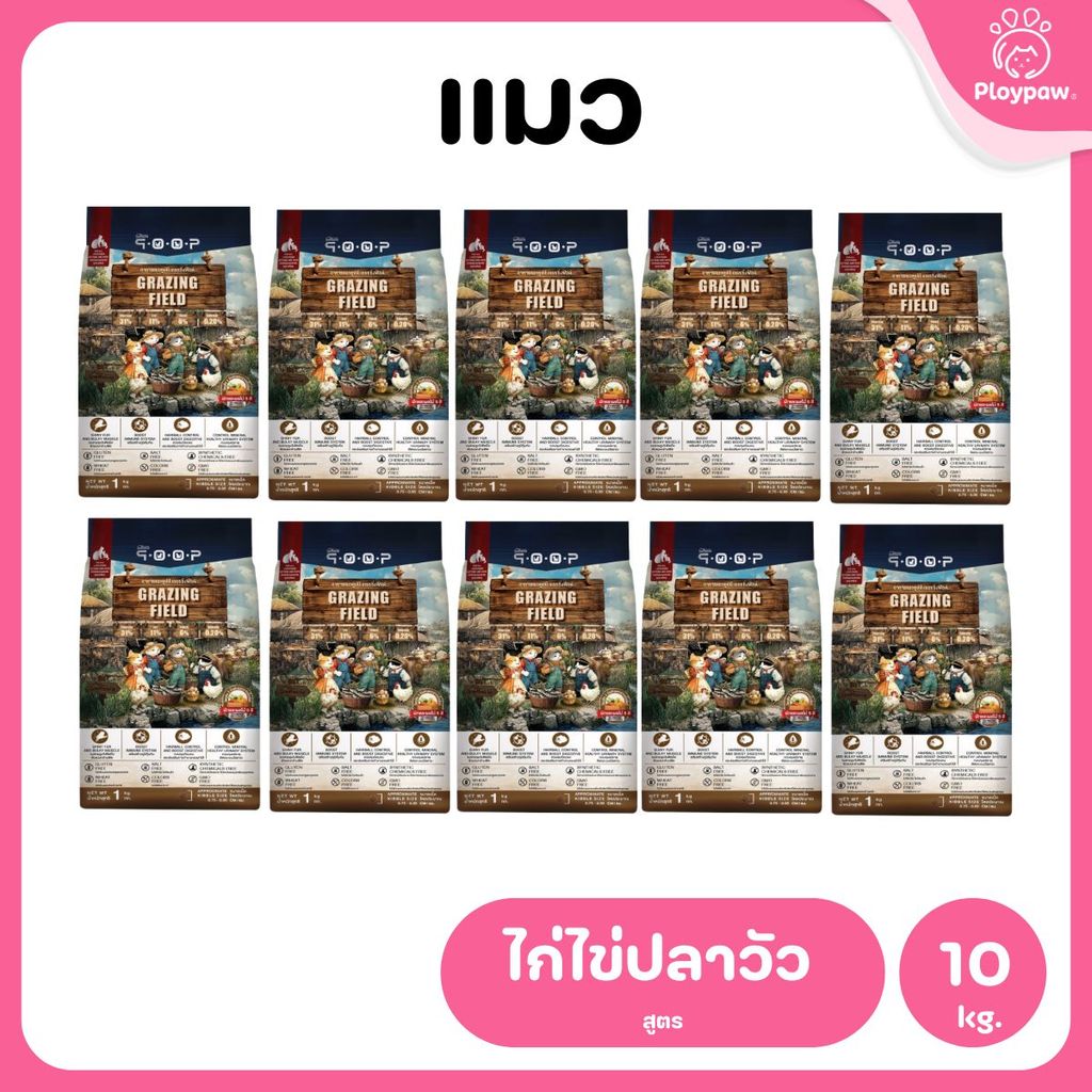 อาหารแมวคูปป์ qoop [ยกลัง 10 ถุง*1kg.] อาหารแมวคูปป์ STARTED GLUTEN FREE สำหรับแมวทุกช่วงวัย ขนาด 1 กก.