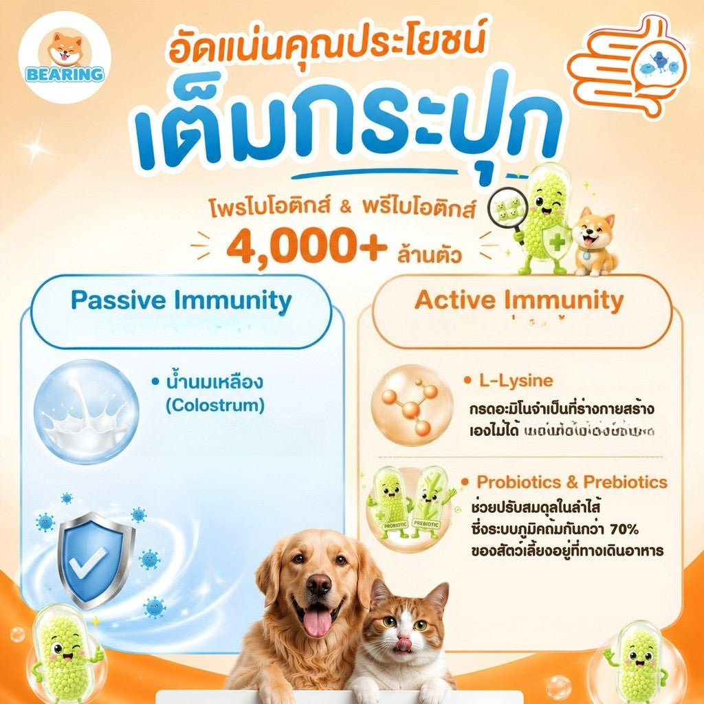 BEARING Happy Tummy Powder ผงโรยอาหารสุนัขแมว ตัวอ้วนตัวแน่น โพรไบโอติกส์ พรีไบโอติกส์ ดูแลสมดุลทางเดินอาหาร