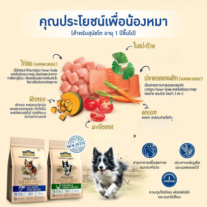 [ถุงแบ่ง 1kg] Perfecta Holistic Grain Free อาหารเม็ดแมว เกรดโฮลิสติก เกรนฟรี สูตร Chicken & Turkey / Atlantic Fish 1 กก.