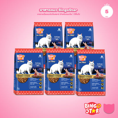[แพ็ค 5*1 กก.] Bingo Star Hi Pro อาหารแมวโต สูตรเนื้อแกะ โปรตีนสูง Synbiotic น้ำมันปลาแซลมอน 1kg ถุงแบ่งภายใน