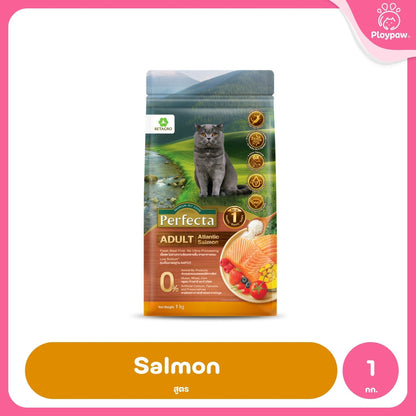 [1kg] Perfecta Wellness อาหารแมว สูตรพรีเมียม Fresh Meat ดูแลผิว ขน และระบบย่อย สำหรับแมวโต ขนาด 1kg
