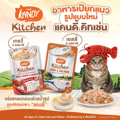 [ยกโหล 12 ซอง] Kandy Kitchen อาหารเปียกแมว 70g ขนมแมว อาหารแมวเปียก Jelly & Gravy 8 สูตร สำหรับแมว 2 เดือนขึ้นไป