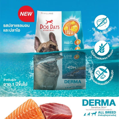 Dog Days Super Premium&Holistic อาหารสุนัขเกรดซุปเปอร์พรีเมี่ยม กลูเตนฟรี สำหรับสุนัขโตทุกสายพันธุ์ ขนาด 1.5-3 kg