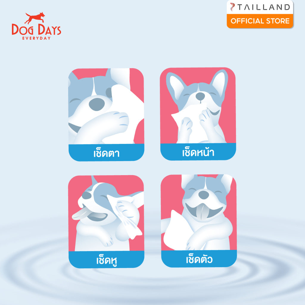 [แพ็คใหญ่ 77 แผ่น] Dog Days & Cat Days Mineral Wipes ทิชชู่เปียก น้ำแร่ผสมเกลือหิมาลัย สำหรับสัตว์เลี้ยง สูตรอ่อนโยน