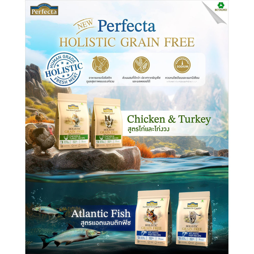 [ยกกระสอบ 7kg] Perfecta Holistic Grain Free อาหารเม็ดแมว เกรดโฮลิสติก เกรนฟรี สูตร Chicken & Turkey / Atlantic Fish 1 กก
