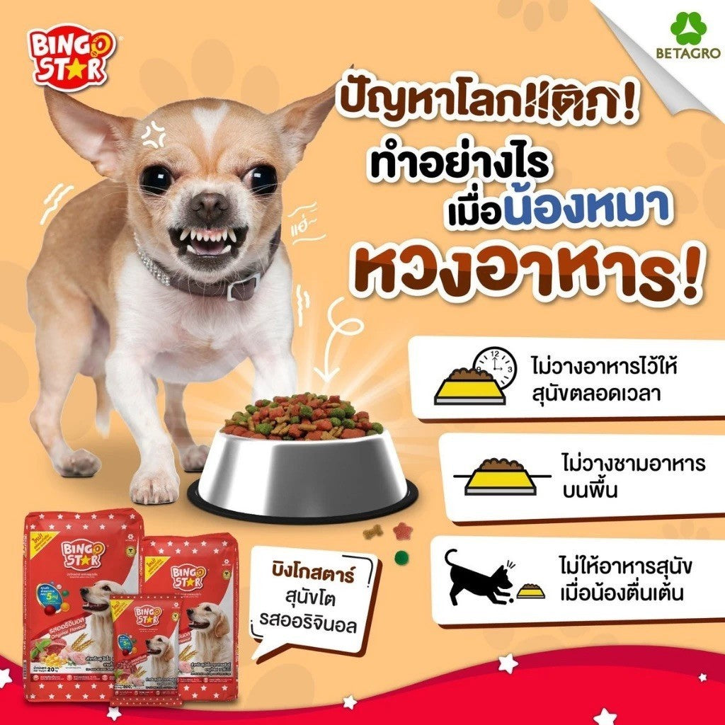 [ยกกระสอบ 20 กก.] BingoStar อาหารสุนัขโต เม็ดรูปดาว โปรตีนจากปลา มี Synbiotic โอเมก้า 3&6 สำหรับสุนัขอายุ 1 ปีขึ้นไป