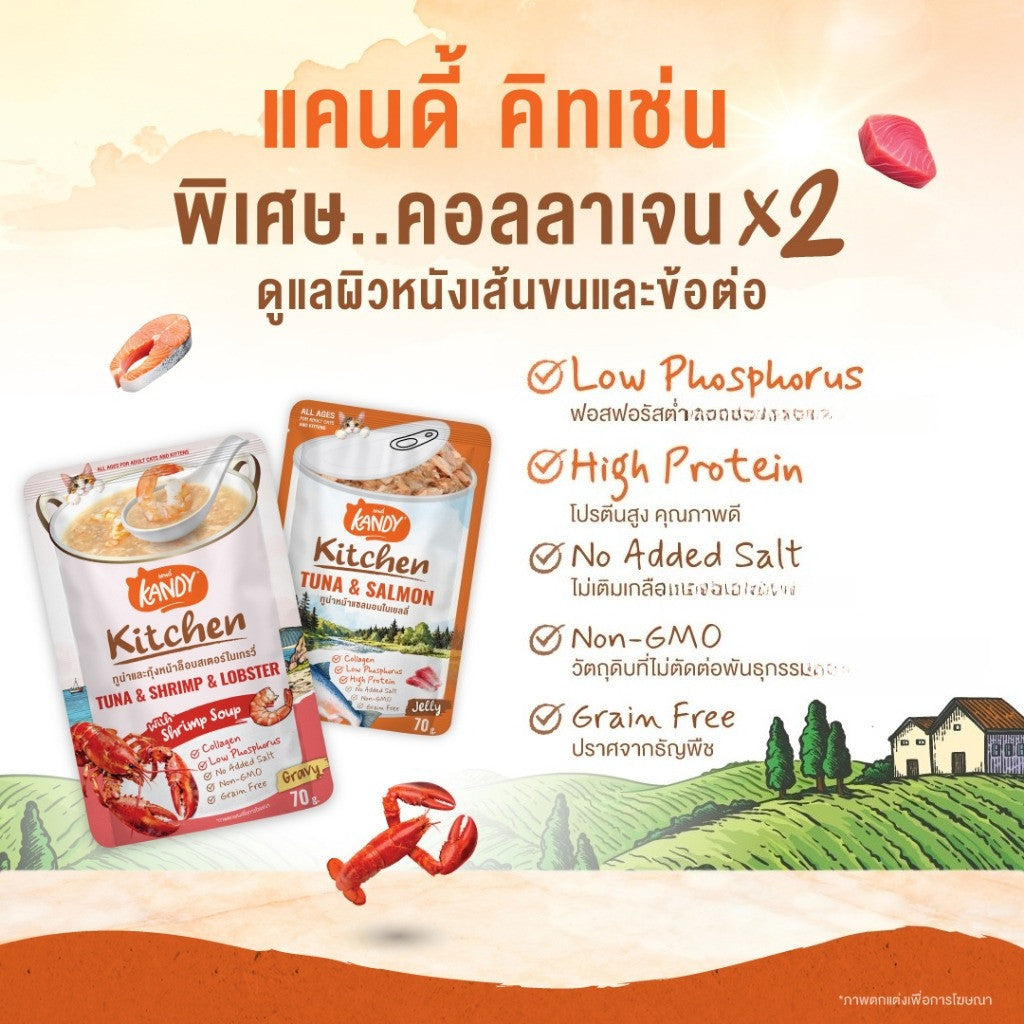 [ยกโหล 12 ซอง] Kandy Kitchen อาหารเปียกแมว 70g ขนมแมว อาหารแมวเปียก Jelly & Gravy 8 สูตร สำหรับแมว 2 เดือนขึ้นไป
