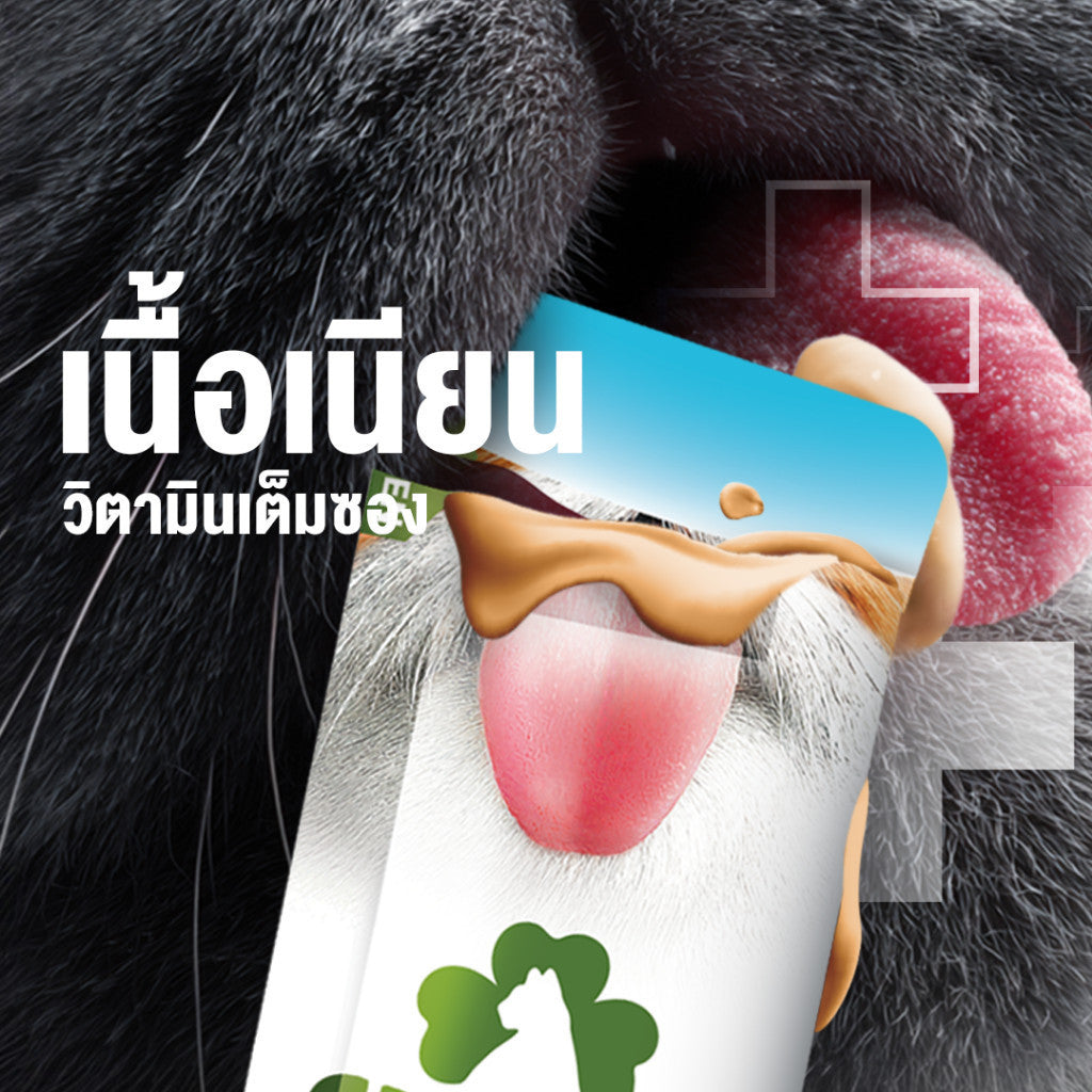 วิตามินแมวเลียโคลเวอร์ [1 ซอง] Clover Lickies Cat Creamy เสริมสุขภาพแมว