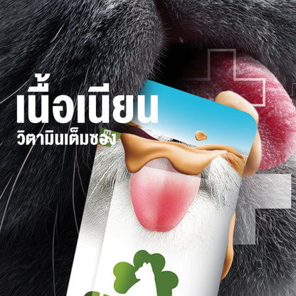 วิตามินแมวเลียโคลเวอร์ [1 ซอง] Clover Lickies Cat Creamy เสริมสุขภาพแมว