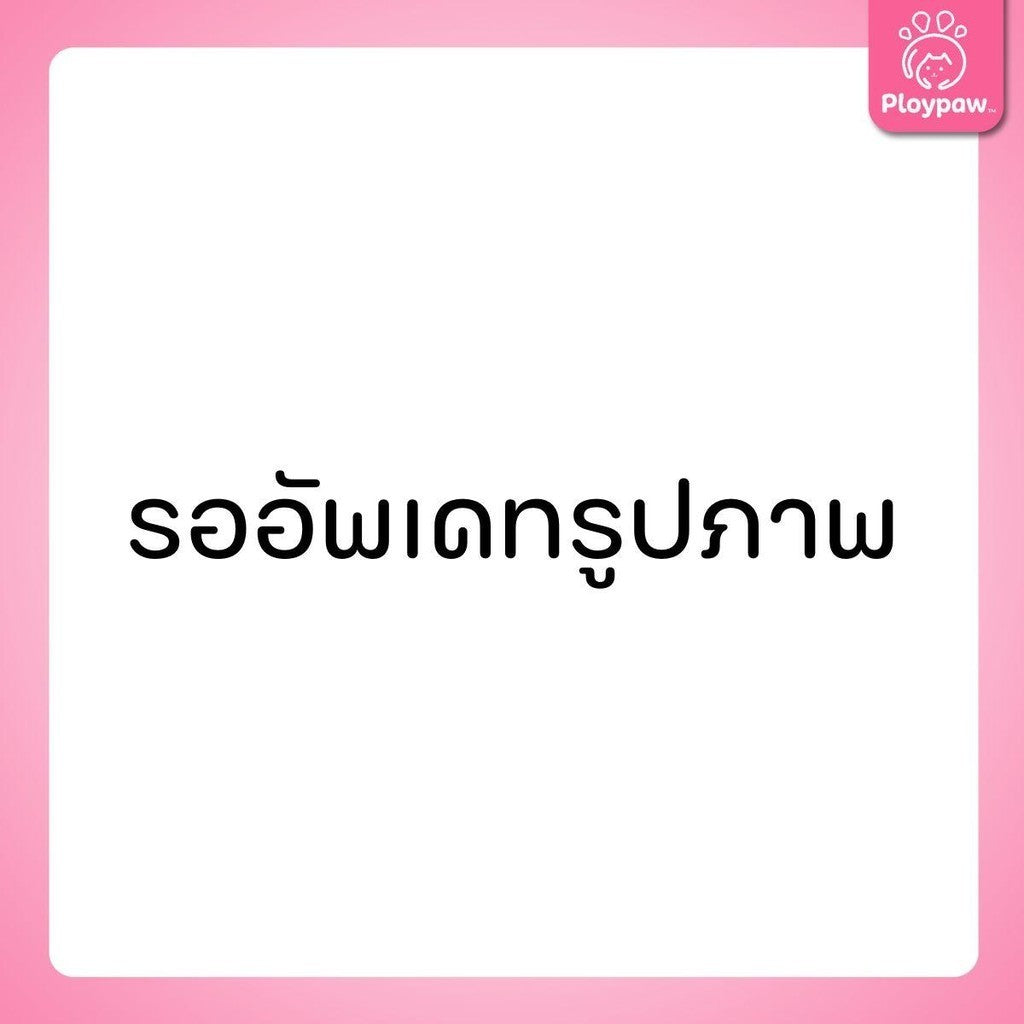 DeliSci Cat [ยกกระสอบ 8 กก.] Dry Skin & Coat / Mother&Kitten  อาหารเม็ดแมว เดลิซาย ขนาด 10*800 กรัม(g.)