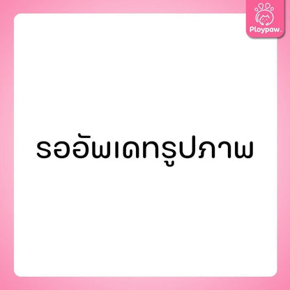 DeliSci Cat [ยกกระสอบ 8 กก.] Dry Skin & Coat / Mother&Kitten  อาหารเม็ดแมว เดลิซาย ขนาด 10*800 กรัม(g.)