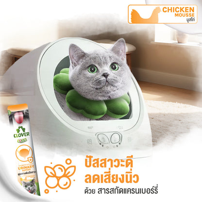 วิตามินแมวเลียโคลเวอร์ [แพ็ค 10 ซอง] Clover Lickies Cat Creamy เสริมสุขภาพแมว