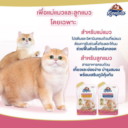 อาหารเปียกแมวคานิว่า [ยกโหล 12 ซอง] Kaniva Mother Cat & Kitten ชนิดเปียก สูตรแม่แมว และลูกแมว  ขนาดซอง 35 กรัม