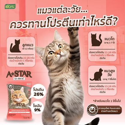 อาหารแมว A-STAR [แพ็ค 5*1 กก.] เอ สตาร์ สูตรลดโซเดียม โปรตีนสูง 26% สำหรับแมวโต 1 ปีขึ้นไป 1kg ของแท้ พร้อมส่ง