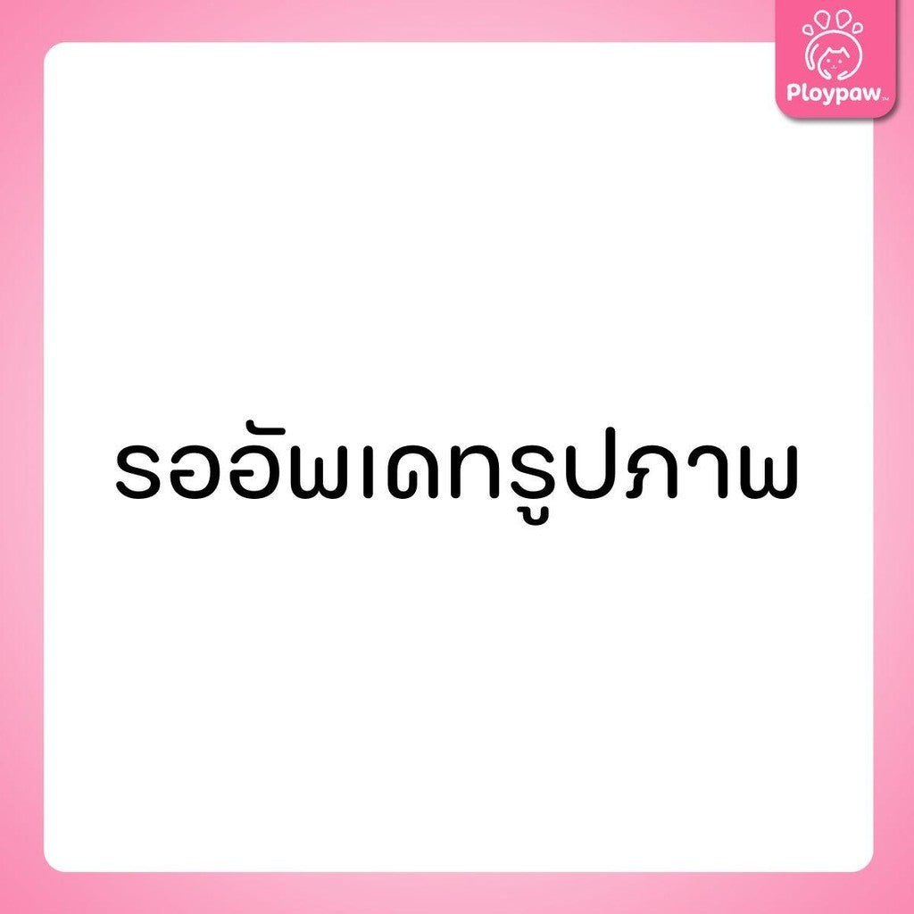 DeliSci Cat [800g.] Dry Skin & Coat / Mother&Kitten  อาหารเม็ดแมว เดลิซาย ขนาด 800 กรัม(g.)