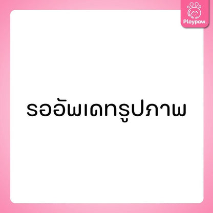 DeliSci Cat [800g.] Dry Skin & Coat / Mother&Kitten  อาหารเม็ดแมว เดลิซาย ขนาด 800 กรัม(g.)