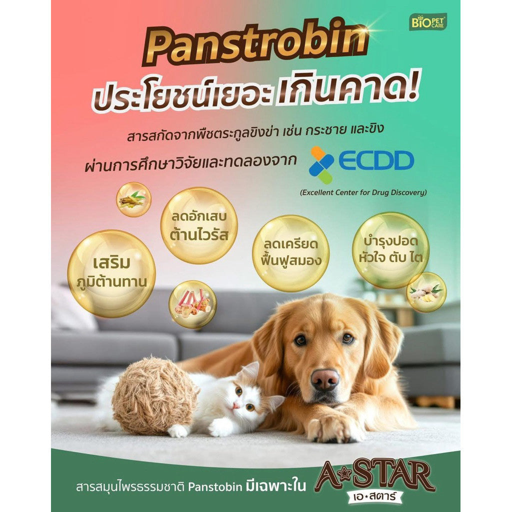 อาหารแมว A-STAR [แพ็ค 3*1 กก.] เอ สตาร์ สูตรลดโซเดียม โปรตีนสูง 26% สำหรับแมวโต 1 ปีขึ้นไป 1kg ของแท้ พร้อมส่ง
