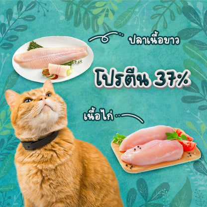 Buzz Netura [1kg.] Holistic อาหารแมวบัซซ์ ขนาด 1 กก. (1kg) อาหารแมวโฮลิสติก เกรนฟรี