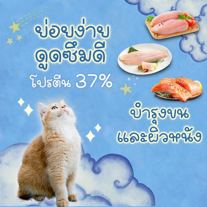 Buzz Netura [1kg.] Holistic อาหารแมวบัซซ์ ขนาด 1 กก. (1kg) อาหารแมวโฮลิสติก เกรนฟรี